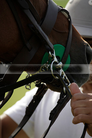 Salkeld v Talandracas in a Veuve Clicquot Gold Cup polo match played on 25 June 2012 at Cowdray Park Polo Club  on Ambersham 1