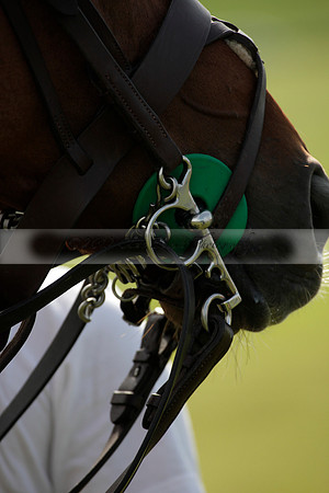 Salkeld v Talandracas in a Veuve Clicquot Gold Cup polo match played on 25 June 2012 at Cowdray Park Polo Club  on Ambersham 1