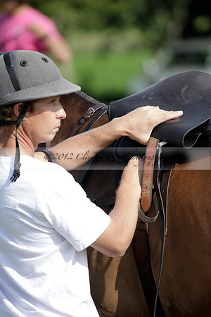 Salkeld v Talandracas in a Veuve Clicquot Gold Cup polo match played on 25 June 2012 at Cowdray Park Polo Club  on Ambersham 1