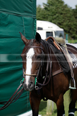 Salkeld v Talandracas in a Veuve Clicquot Gold Cup polo match played on 25 June 2012 at Cowdray Park Polo Club  on Ambersham 1
