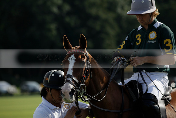 Salkeld v Talandracas in a Veuve Clicquot Gold Cup polo match played on 25 June 2012 at Cowdray Park Polo Club  on Ambersham 1