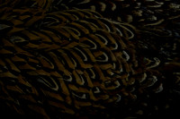 _CAB7585
