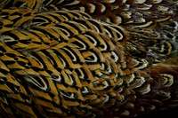 _CAB7582