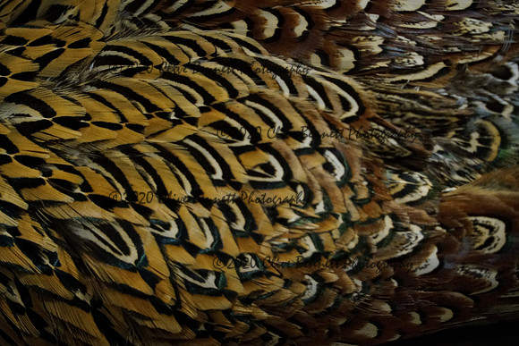 _CAB7582