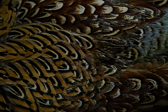 _CAB7587