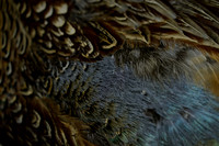 _CAB7594