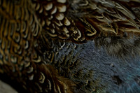 _CAB7595
