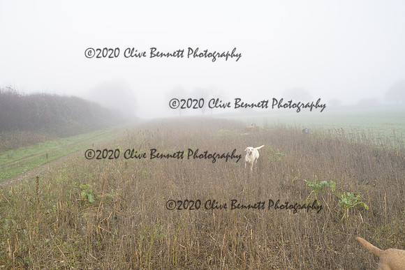 _CAB7631