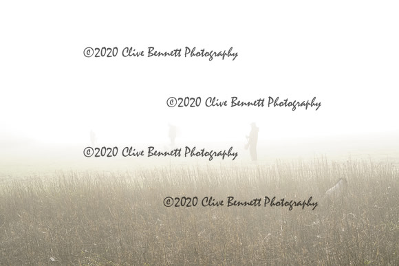 _CAB7649