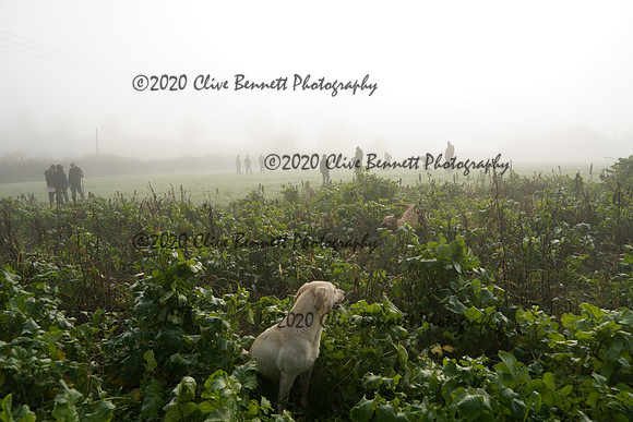 _CAB7658
