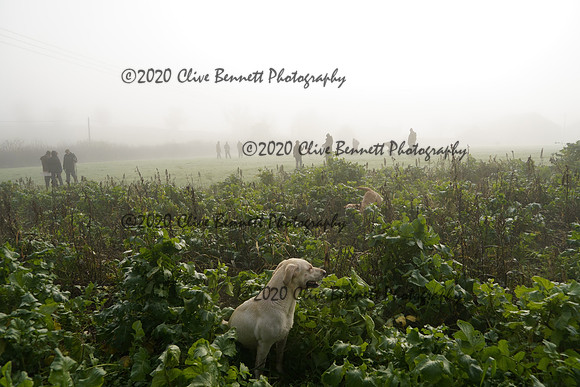 _CAB7659