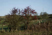 _CAB1120