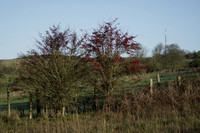 _CAB1122
