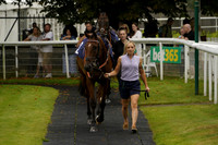 Race 5 The Bet Boost At bet365 Handicap Steeple Chase 2023.09.10