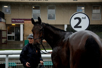 Race 2 The Do It The Rivervale Way Novices Steeple Chase 2016.04.15