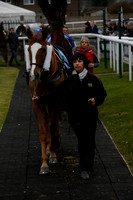 Race 4 The 32RedSport.com 3/1 Mullins Cheltenham Win Handicap Hurdle Race 2015.02.12