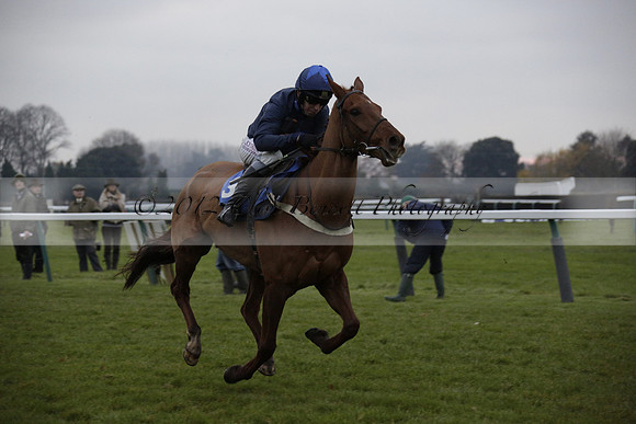 Race 7 The R.D.Decs Tosh And Go Handicap Hurdle Race at Fontwell Park on Tuesday 10 December 2013 www.polopictures.co.uk