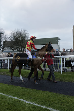 Race 7 The R.D.Decs Tosh And Go Handicap Hurdle Race at Fontwell Park on Tuesday 10 December 2013 www.polopictures.co.uk