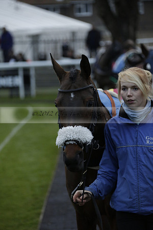 Race 7 The R.D.Decs Tosh And Go Handicap Hurdle Race at Fontwell Park on Tuesday 10 December 2013 www.polopictures.co.uk