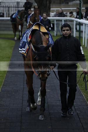Race 7 The R.D.Decs Tosh And Go Handicap Hurdle Race at Fontwell Park on Tuesday 10 December 2013 www.polopictures.co.uk