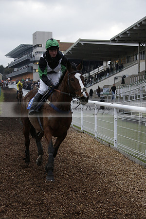 Race 7 The R.D.Decs Tosh And Go Handicap Hurdle Race at Fontwell Park on Tuesday 10 December 2013 www.polopictures.co.uk