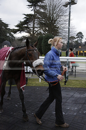 Race 7 The R.D.Decs Tosh And Go Handicap Hurdle Race at Fontwell Park on Tuesday 10 December 2013 www.polopictures.co.uk