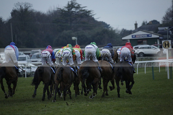 Race 7 The R.D.Decs Tosh And Go Handicap Hurdle Race at Fontwell Park on Tuesday 10 December 2013 www.polopictures.co.uk