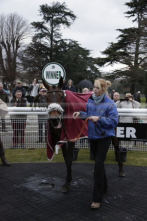 Race 7 The R.D.Decs Tosh And Go Handicap Hurdle Race at Fontwell Park on Tuesday 10 December 2013 www.polopictures.co.uk