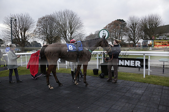 Race 7 The R.D.Decs Tosh And Go Handicap Hurdle Race at Fontwell Park on Tuesday 10 December 2013 www.polopictures.co.uk