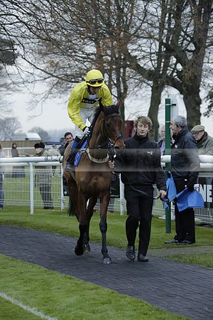 Race 7 The R.D.Decs Tosh And Go Handicap Hurdle Race at Fontwell Park on Tuesday 10 December 2013 www.polopictures.co.uk