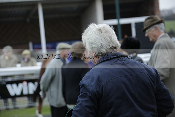 Race 7 The R.D.Decs Tosh And Go Handicap Hurdle Race at Fontwell Park on Tuesday 10 December 2013 www.polopictures.co.uk