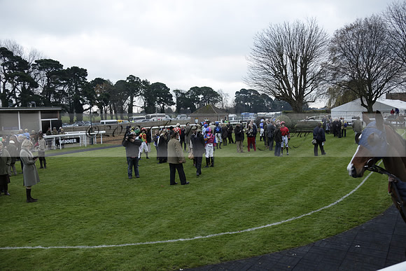 Race 7 The R.D.Decs Tosh And Go Handicap Hurdle Race at Fontwell Park on Tuesday 10 December 2013 www.polopictures.co.uk