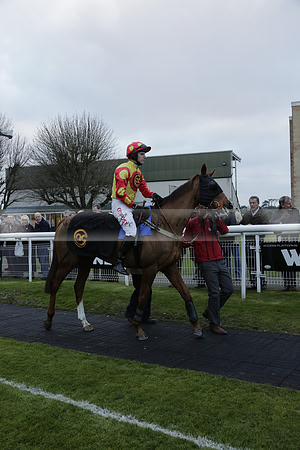 Race 7 The R.D.Decs Tosh And Go Handicap Hurdle Race at Fontwell Park on Tuesday 10 December 2013 www.polopictures.co.uk