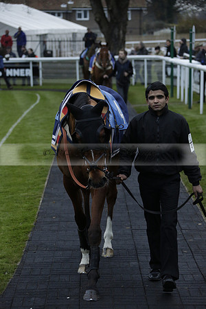 Race 7 The R.D.Decs Tosh And Go Handicap Hurdle Race at Fontwell Park on Tuesday 10 December 2013 www.polopictures.co.uk