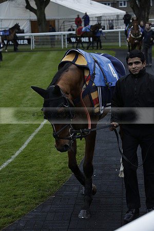 Race 7 The R.D.Decs Tosh And Go Handicap Hurdle Race at Fontwell Park on Tuesday 10 December 2013 www.polopictures.co.uk