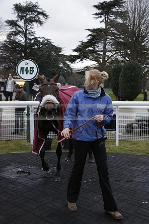Race 7 The R.D.Decs Tosh And Go Handicap Hurdle Race at Fontwell Park on Tuesday 10 December 2013 www.polopictures.co.uk