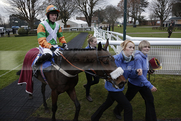 Race 7 The R.D.Decs Tosh And Go Handicap Hurdle Race at Fontwell Park on Tuesday 10 December 2013 www.polopictures.co.uk