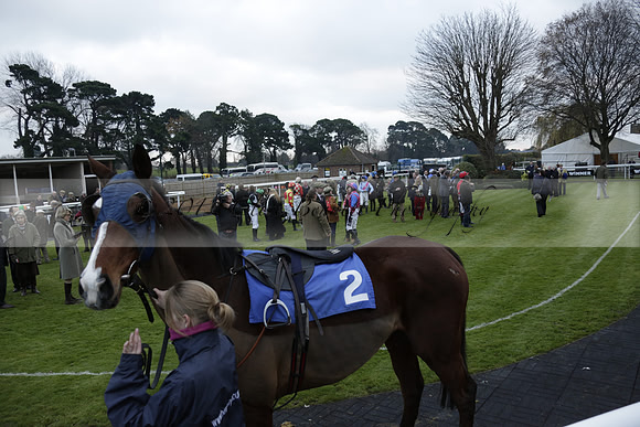 Race 7 The R.D.Decs Tosh And Go Handicap Hurdle Race at Fontwell Park on Tuesday 10 December 2013 www.polopictures.co.uk