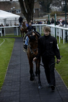 Race 7 The R.D.Decs Tosh And Go Handicap Hurdle Race at Fontwell Park on Tuesday 10 December 2013 www.polopictures.co.uk