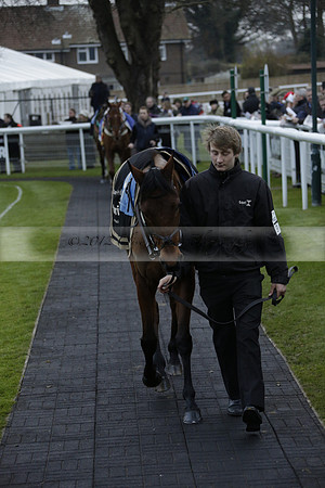 Race 7 The R.D.Decs Tosh And Go Handicap Hurdle Race at Fontwell Park on Tuesday 10 December 2013 www.polopictures.co.uk