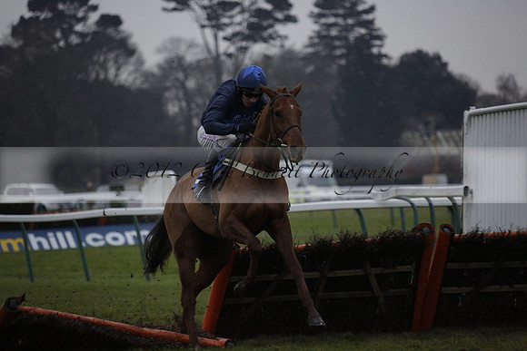 Race 7 The R.D.Decs Tosh And Go Handicap Hurdle Race at Fontwell Park on Tuesday 10 December 2013 www.polopictures.co.uk