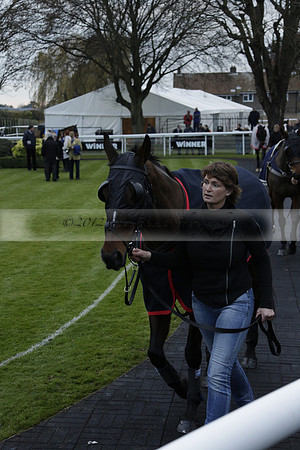 Race 7 The R.D.Decs Tosh And Go Handicap Hurdle Race at Fontwell Park on Tuesday 10 December 2013 www.polopictures.co.uk