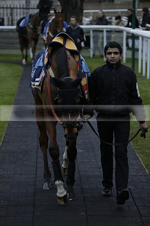 Race 7 The R.D.Decs Tosh And Go Handicap Hurdle Race at Fontwell Park on Tuesday 10 December 2013 www.polopictures.co.uk