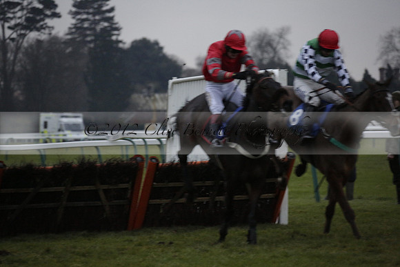 Race 7 The R.D.Decs Tosh And Go Handicap Hurdle Race at Fontwell Park on Tuesday 10 December 2013 www.polopictures.co.uk