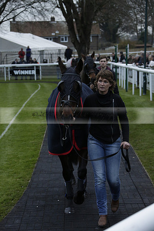 Race 7 The R.D.Decs Tosh And Go Handicap Hurdle Race at Fontwell Park on Tuesday 10 December 2013 www.polopictures.co.uk
