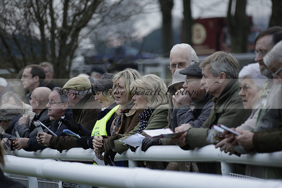 Race 7 The R.D.Decs Tosh And Go Handicap Hurdle Race at Fontwell Park on Tuesday 10 December 2013 www.polopictures.co.uk