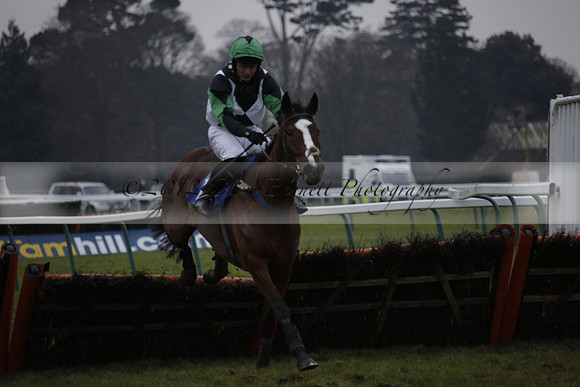 Race 7 The R.D.Decs Tosh And Go Handicap Hurdle Race at Fontwell Park on Tuesday 10 December 2013 www.polopictures.co.uk