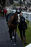 Race 7 The R.D.Decs Tosh And Go Handicap Hurdle Race at Fontwell Park on Tuesday 10 December 2013 www.polopictures.co.uk