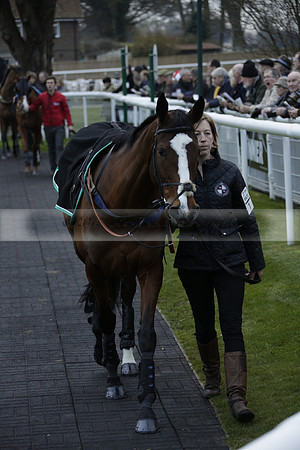 Race 7 The R.D.Decs Tosh And Go Handicap Hurdle Race at Fontwell Park on Tuesday 10 December 2013 www.polopictures.co.uk