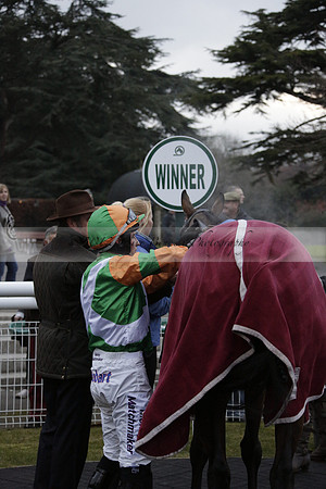 Race 7 The R.D.Decs Tosh And Go Handicap Hurdle Race at Fontwell Park on Tuesday 10 December 2013 www.polopictures.co.uk